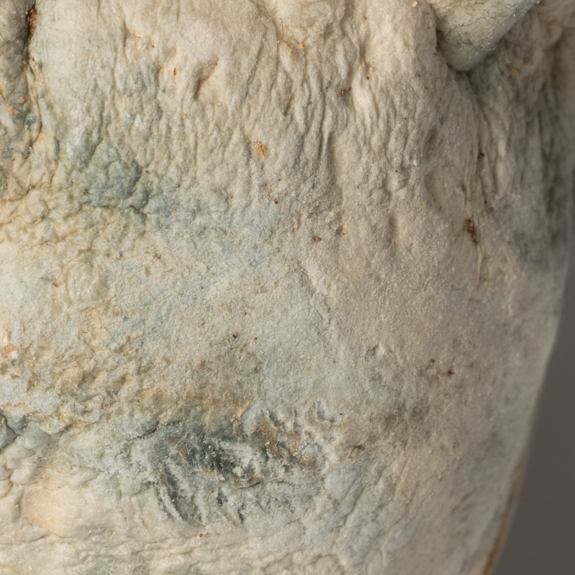 Squat Mak Mushrooms Squat Mak Mushrooms