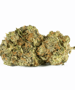 El Jefe (AAA)