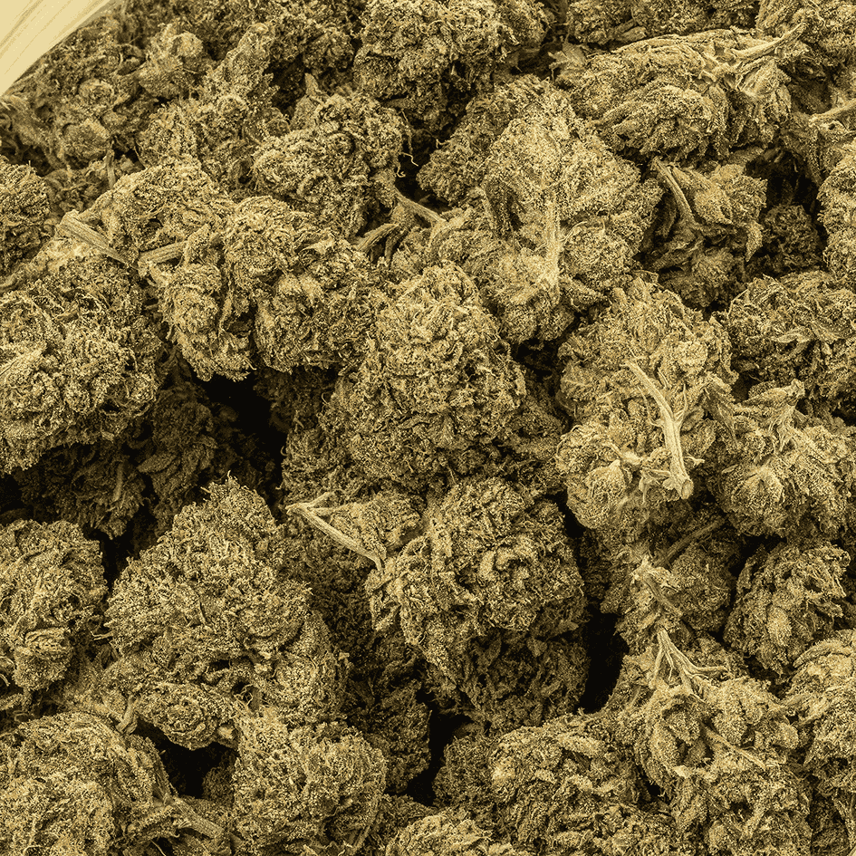 Starfighter (AAA) Starfighter (AAA)