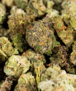 Mini Buds (AA)
