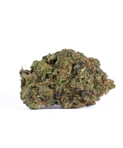 Amnesia Haze (AAAA)