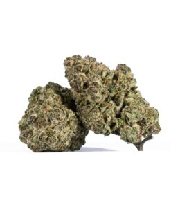 Ricky Bobby OG (AAAA+)