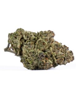 Ricky Bobby OG (AAAA+)