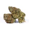 Acapulco Gold (AAAA) Promo Acapulco Gold (AAAA) Promo