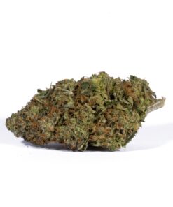 Acapulco Gold (AAAA) Promo