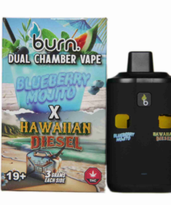 Burn Dual Vape (6g) - Blueberry Mojito + Hawaiian Diesel