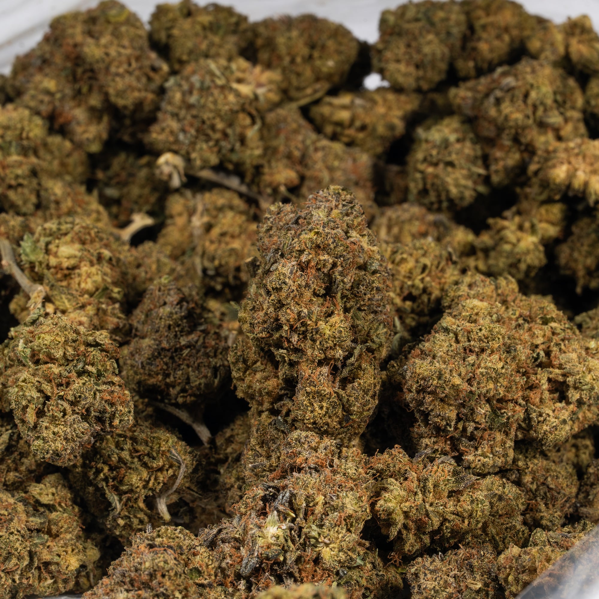 Double Mint (AA) Double Mint (AA)