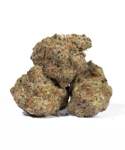 London Poundcake (AAA)