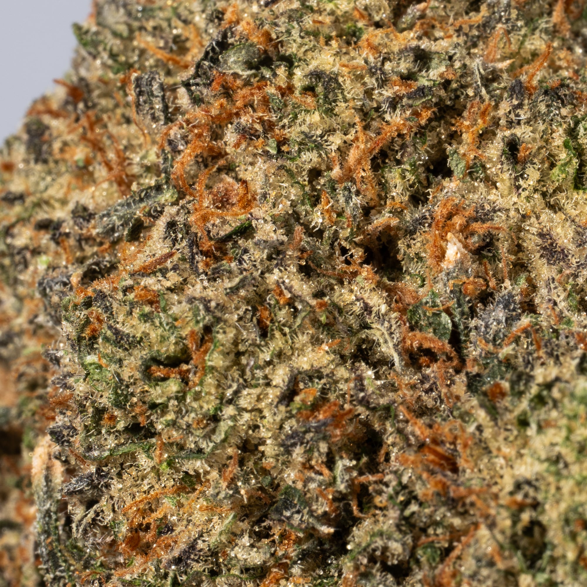 Super Silver Haze (AAA) Super Silver Haze (AAA)