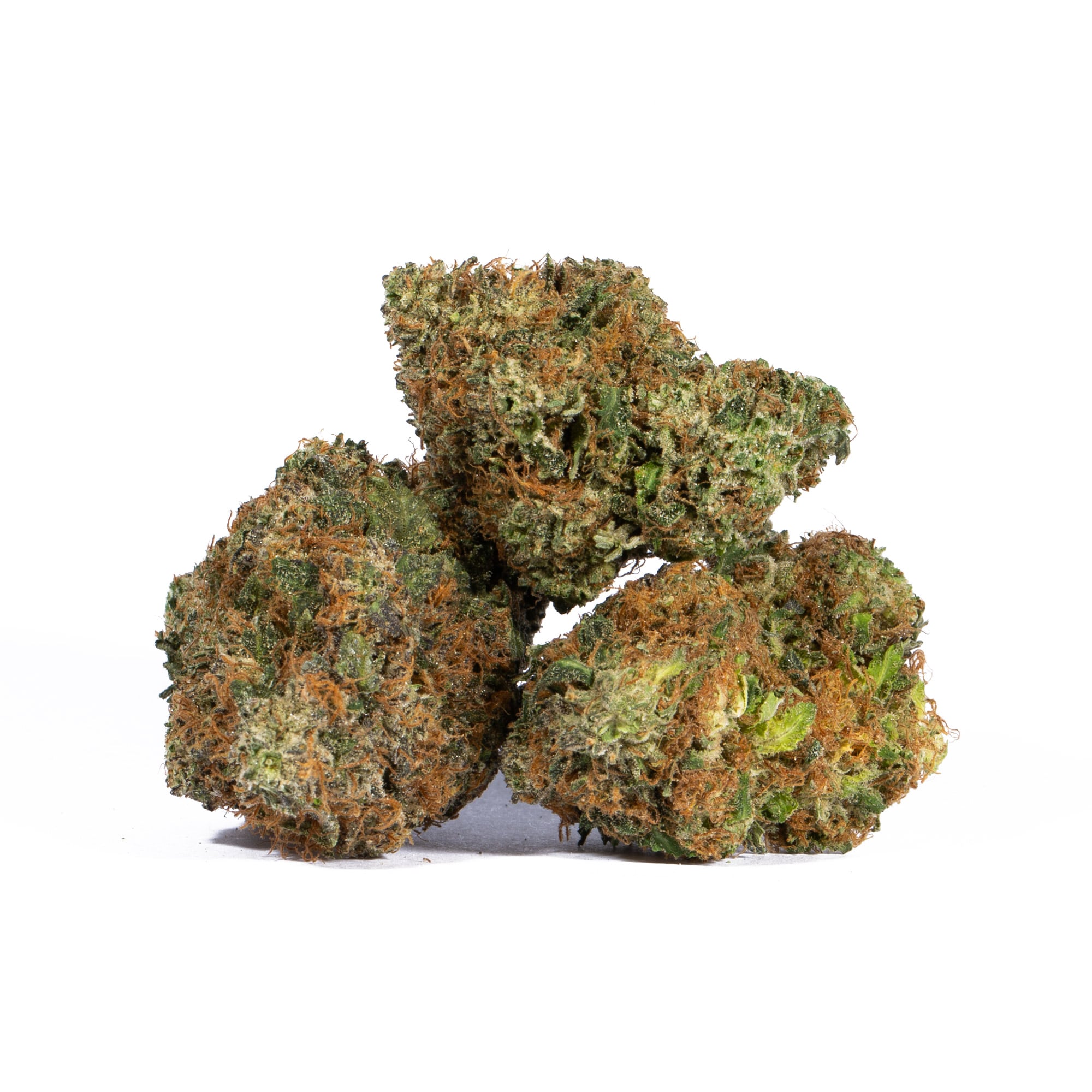 Pink Gorilla (AAA+) Promo Pink Gorilla (AAA+) Promo