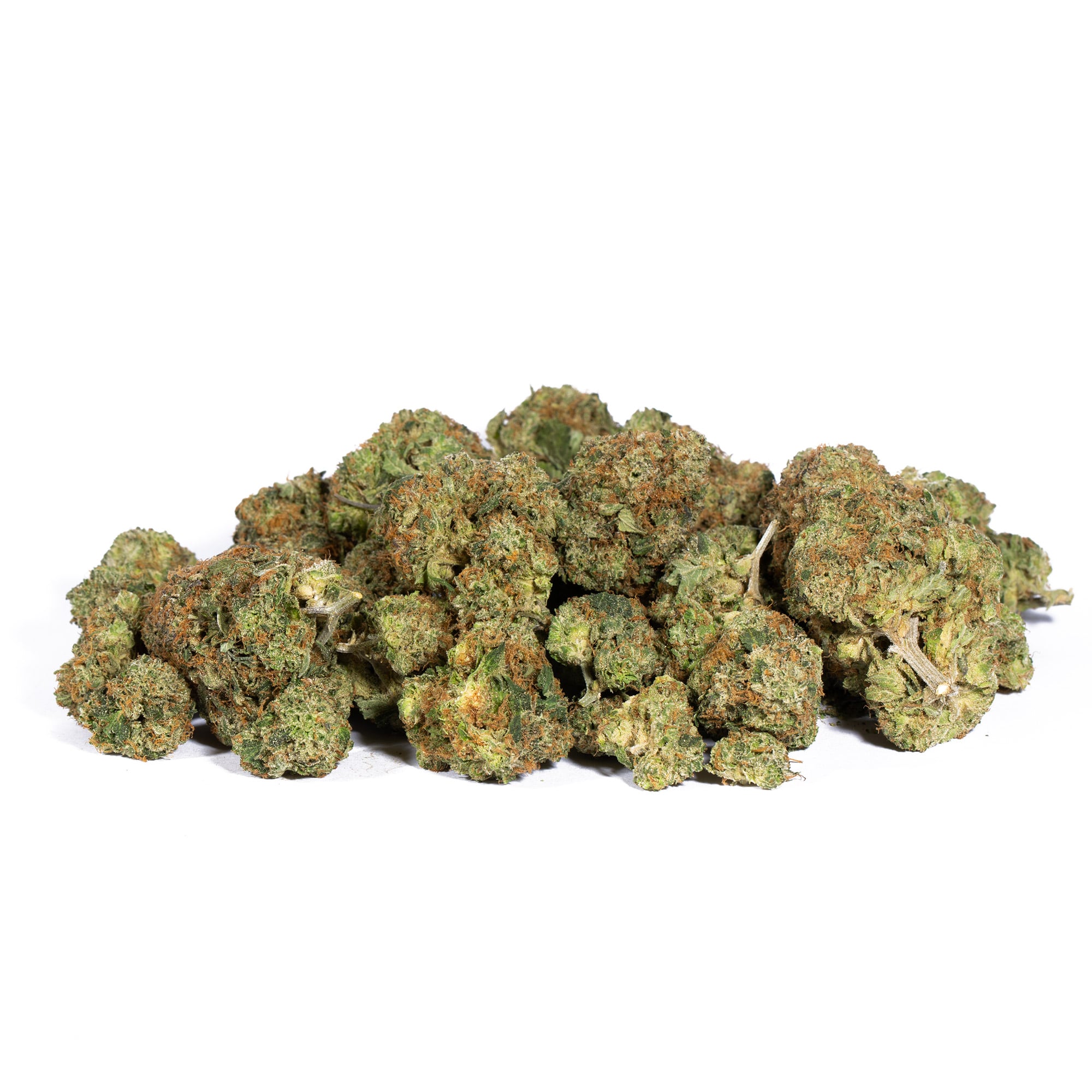 Pink Gorilla (AAA+) Promo Pink Gorilla (AAA+) Promo