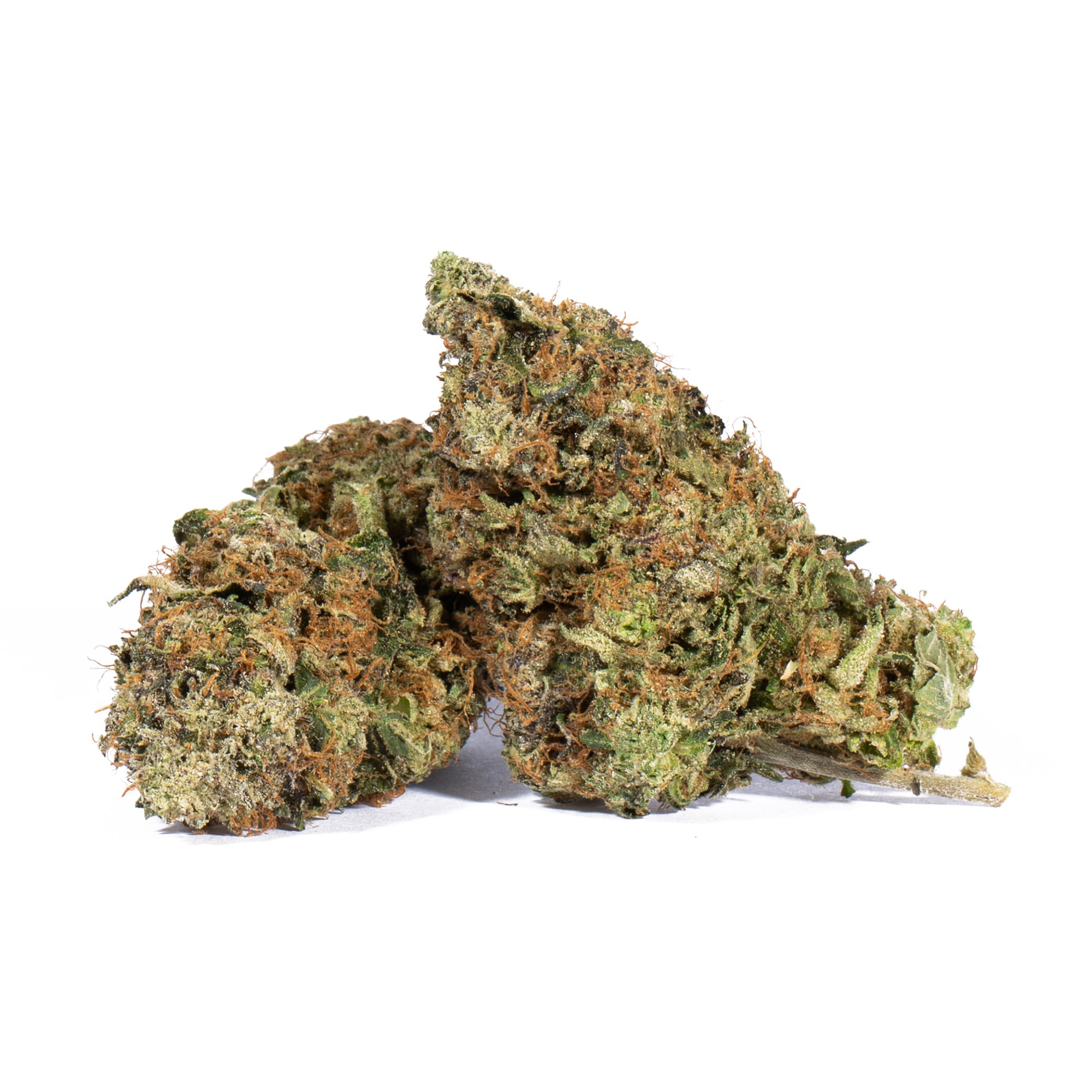 Tropicana Haze (AAAA) Tropicana Haze (AAAA)