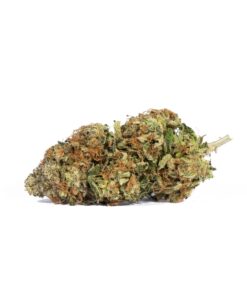 Tropicana Haze (AAAA)