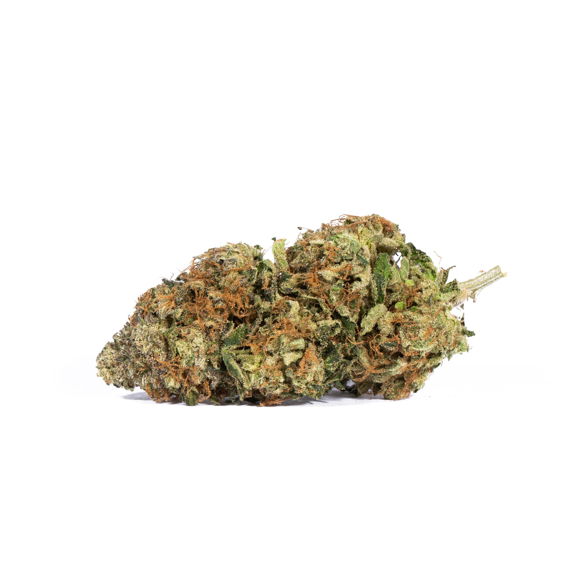 Tropicana Haze (AAAA) Tropicana Haze (AAAA)