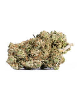 Acapulco Gold (AA+) Acapulco Gold (AA+)