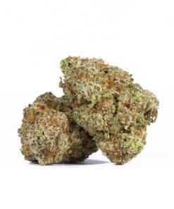 Alien OG (AAAA)