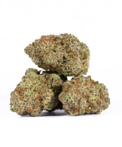 Alien OG (AAAA)