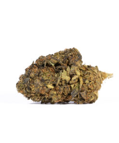 Cali Gas (AA) Promo