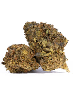 Cali Gas (AA) Promo