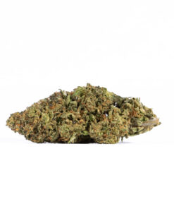 GMO Cookies (AAA) GMO Cookies (AAA)