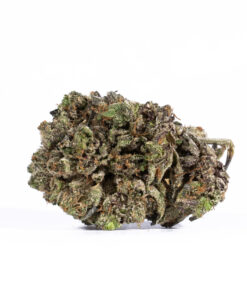 Purple Haze (AAAA)
