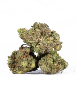 Skywalker OG (AAA)