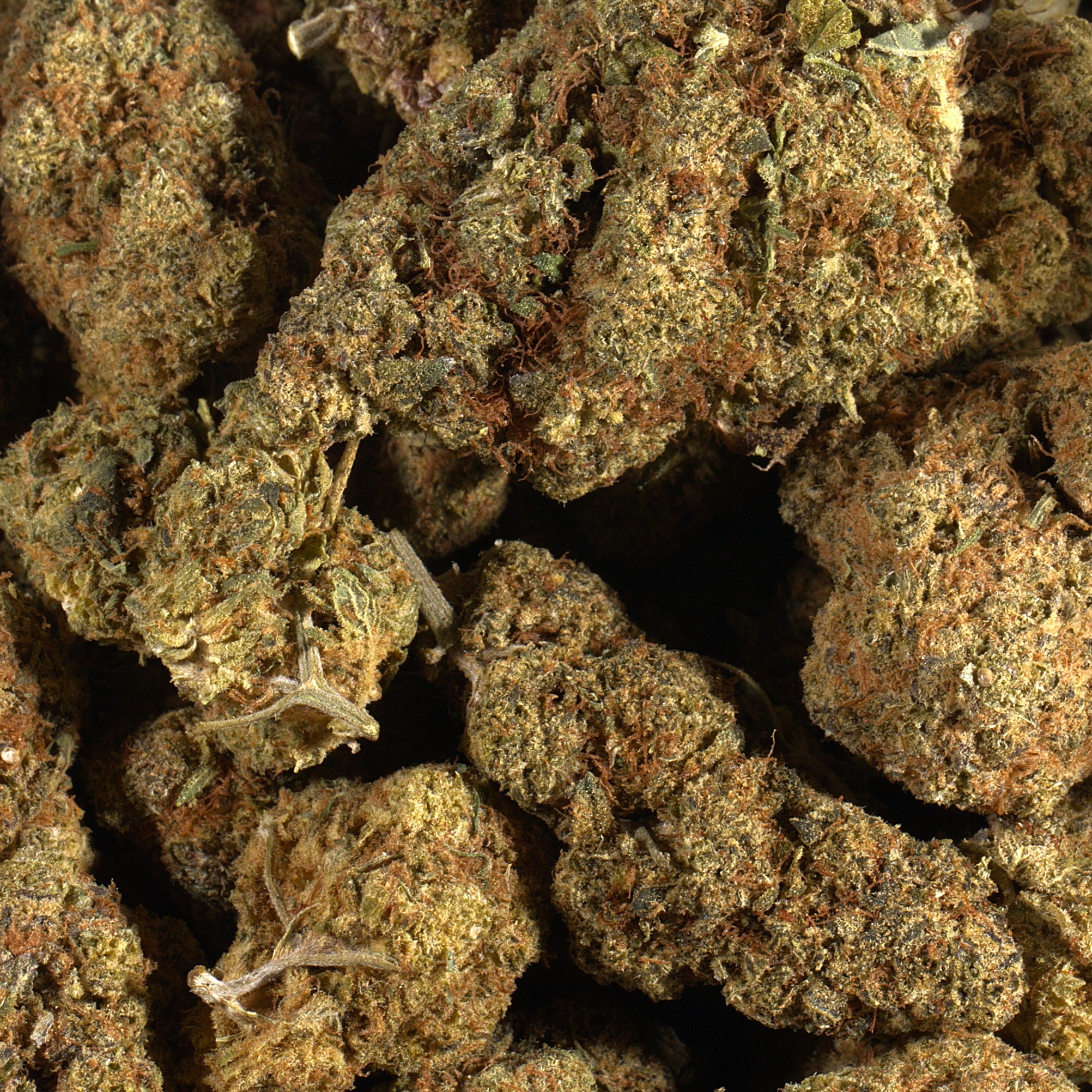 Grape God (AA) Grape God (AA)