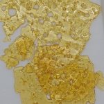 Gold Seal Shatter 1g - Mimosa Champagne