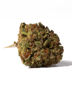 Strawberry AA (Promo)