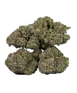 9LB Hammer (AAA)