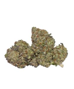 Ace Killer Og (AA)