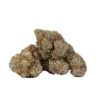 Cactus (AAAA)