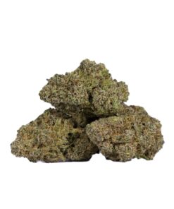 Ghost Dawg (AAA)