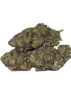 MK Ultra (AAAA)