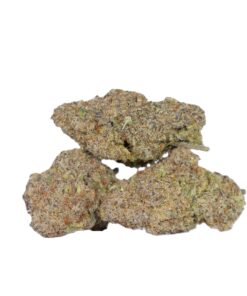 Tahiti Lime (AAAA)