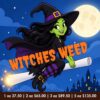 Witches Weed (AA)
